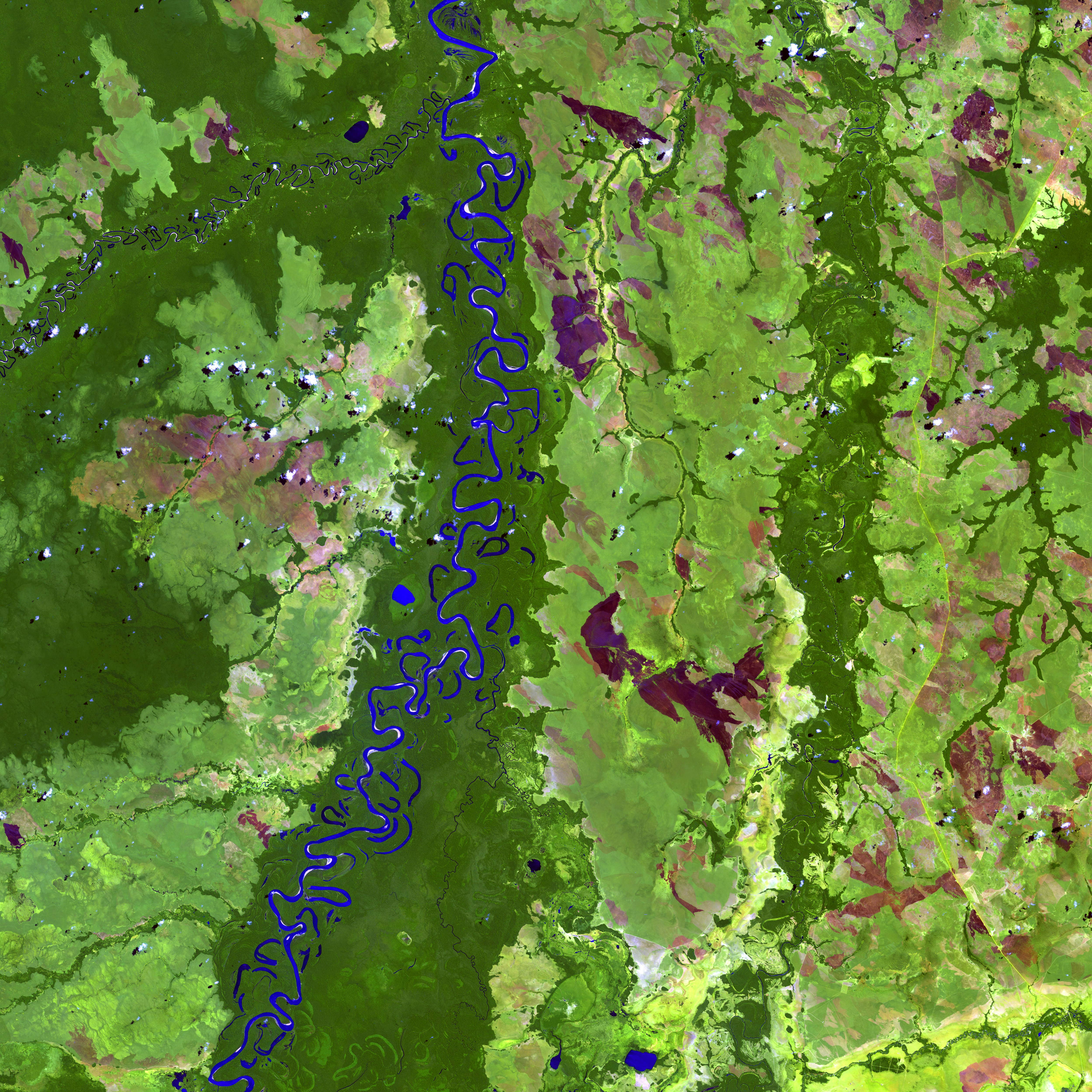 Empowering AgriTech Innovation: A Satellite Imaging Success Tale
